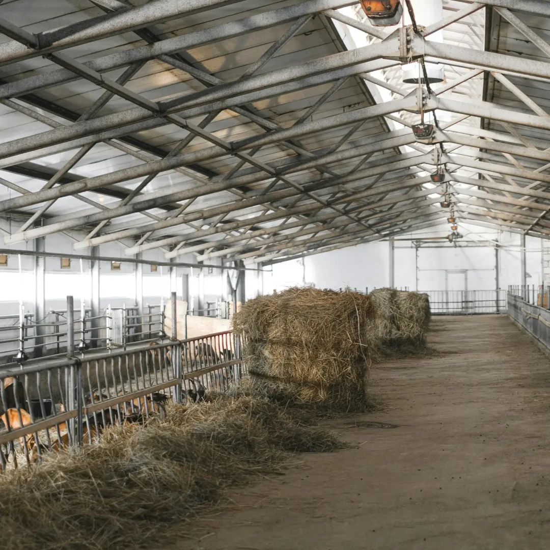 steel farm and barns